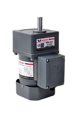 C.A. 6 - motor alinhado estojo compacto de 250W 220V para a correia transportadora